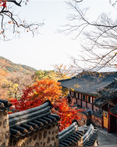 한국 풍경